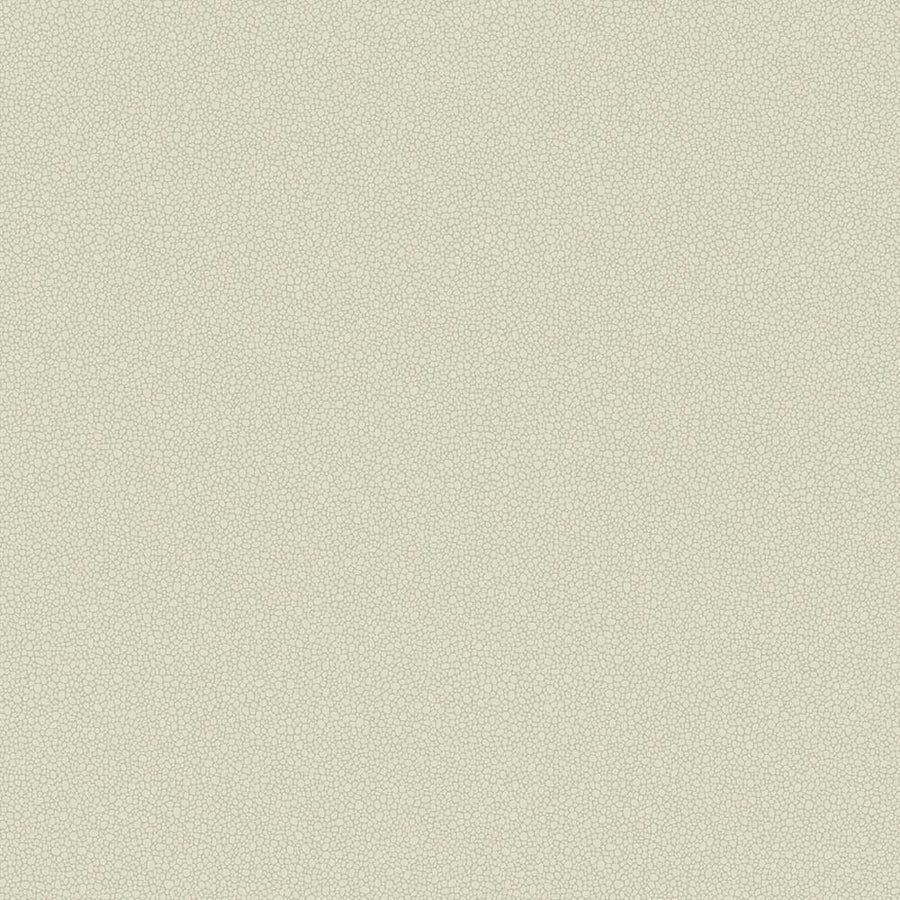 Pebble Wallpaper by Cole & Son - 106/2021 | Modern 2 Interiors