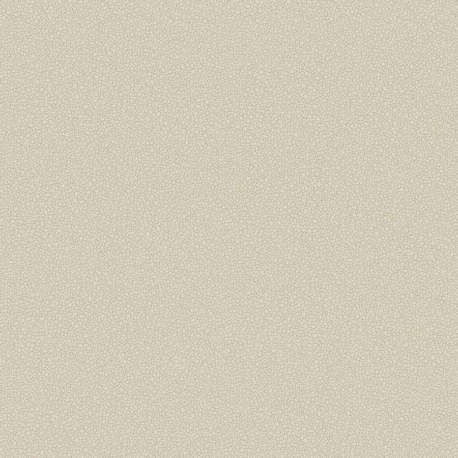 Pebble Wallpaper by Cole & Son - 106/2022 | Modern 2 Interiors