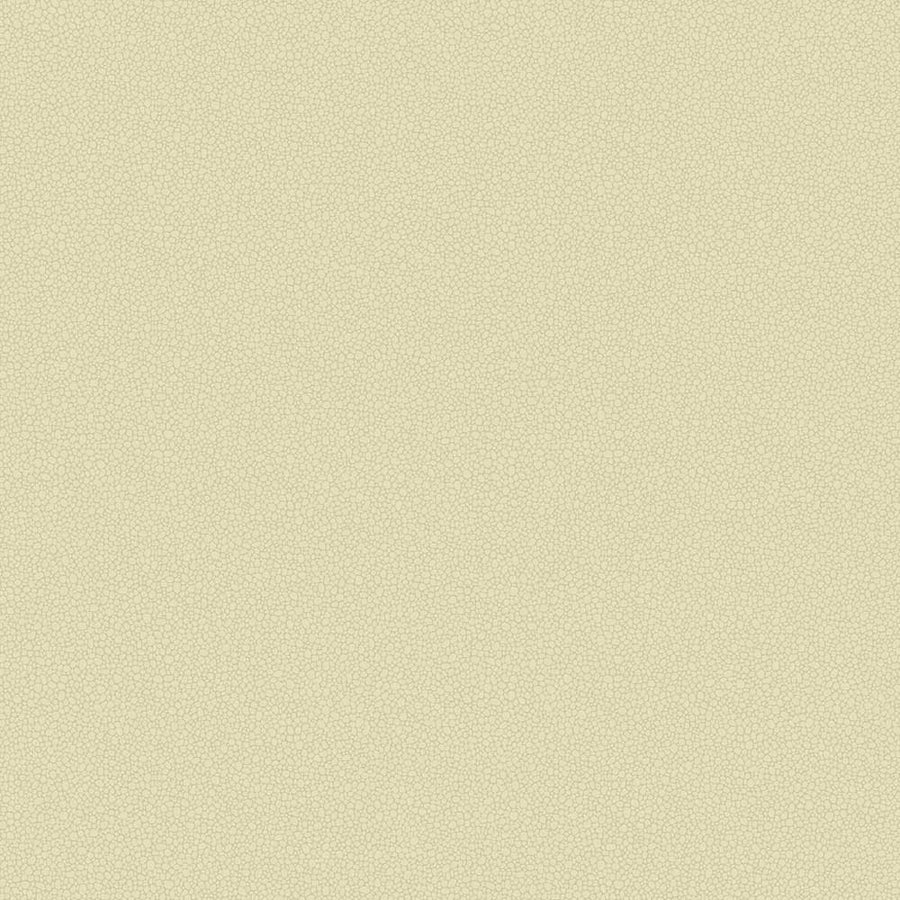 Pebble Wallpaper by Cole & Son - 106/2023 | Modern 2 Interiors