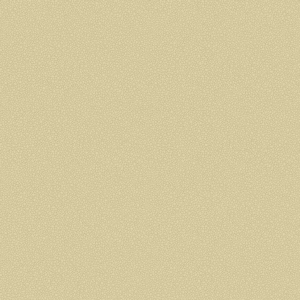 Pebble Wallpaper by Cole & Son - 106/2024 | Modern 2 Interiors