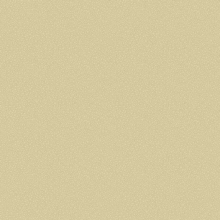 Pebble Wallpaper by Cole & Son - 106/2024 | Modern 2 Interiors