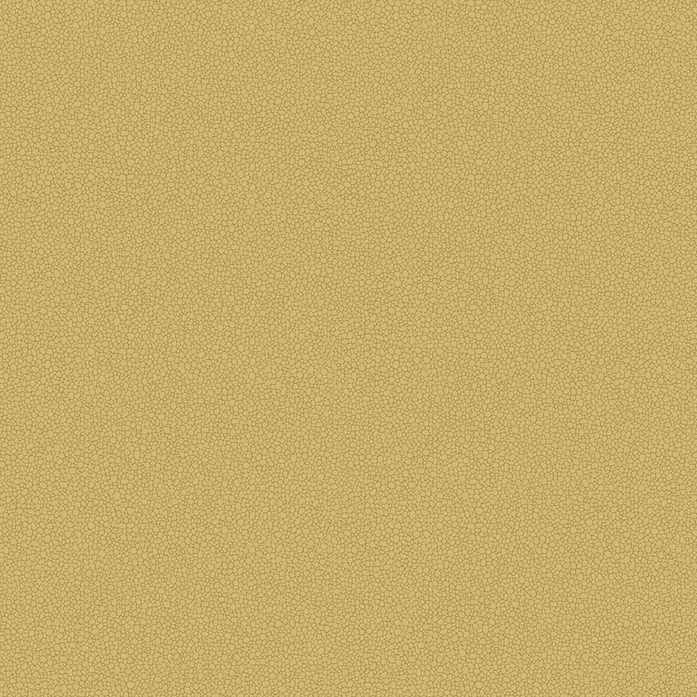 Pebble Wallpaper by Cole & Son - 106/2025 | Modern 2 Interiors