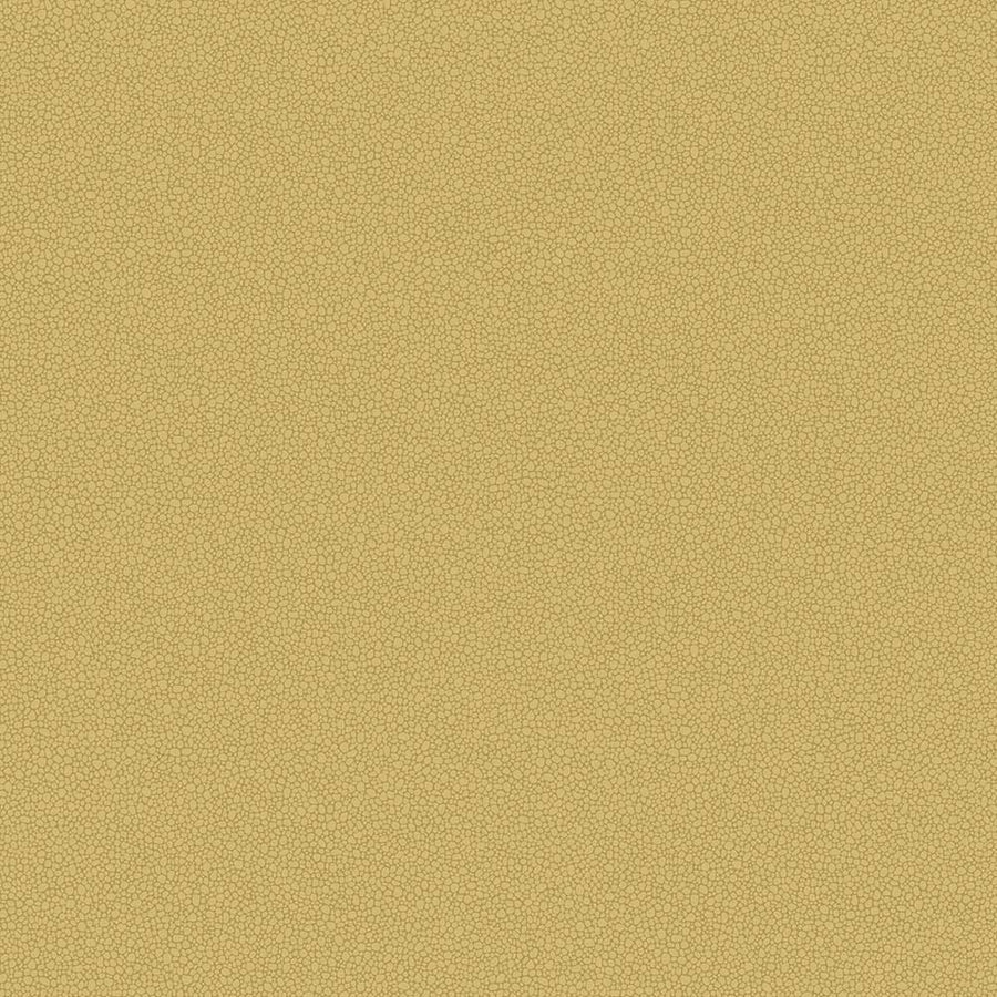 Pebble Wallpaper by Cole & Son - 106/2025 | Modern 2 Interiors