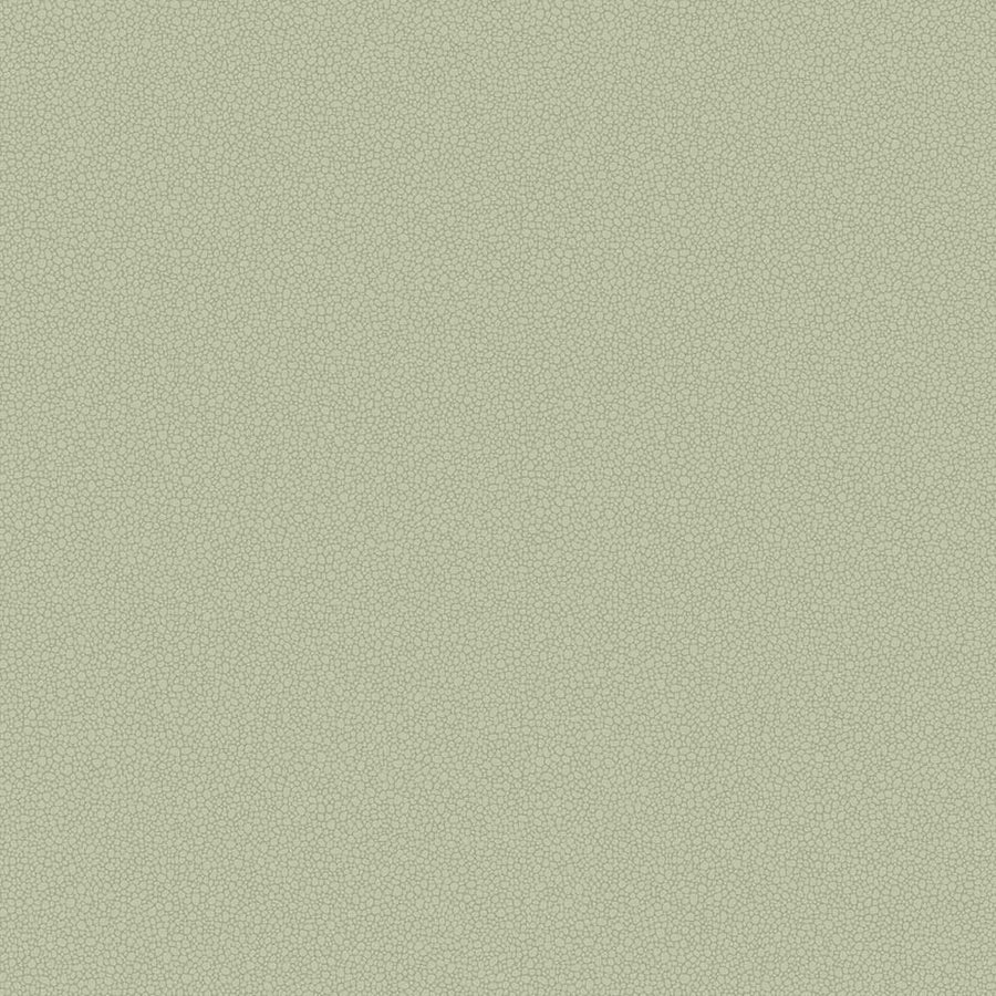 Pebble Wallpaper by Cole & Son - 106/2027 | Modern 2 Interiors