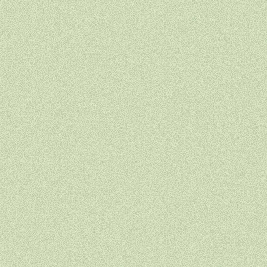 Pebble Wallpaper by Cole & Son - 106/2028 | Modern 2 Interiors