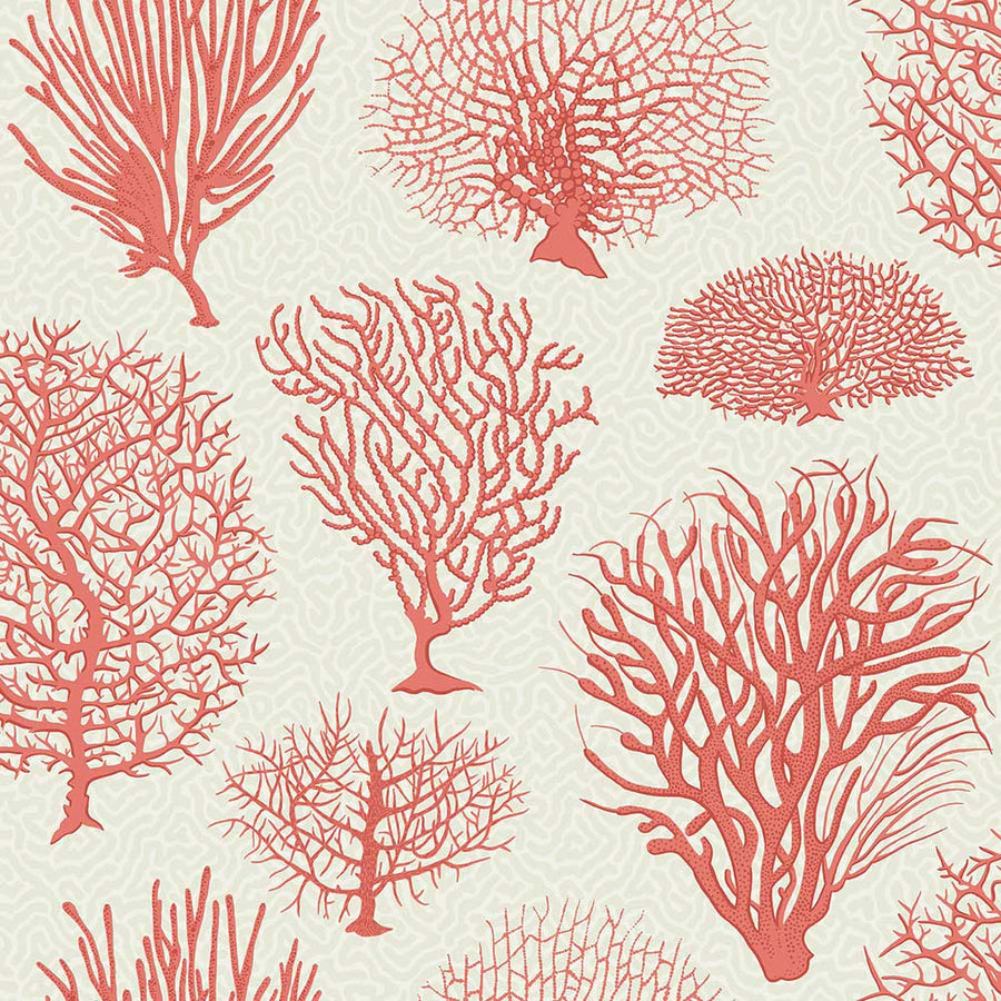 Seafern Wallpaper by Cole & Son - 107/2011 | Modern 2 Interiors