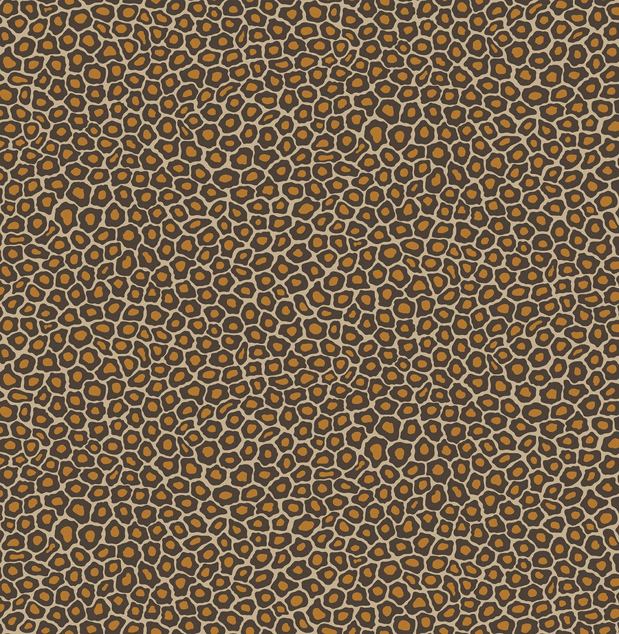 Senzo Spot Wallpaper by Cole & Son - 109/6027 | Modern 2 Interiors