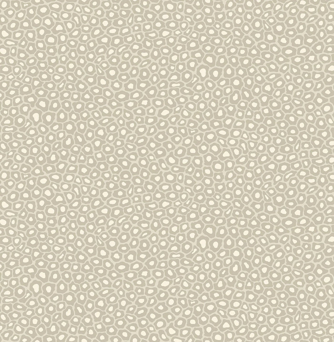 Senzo Spot Wallpaper by Cole & Son - 109/6030 | Modern 2 Interiors