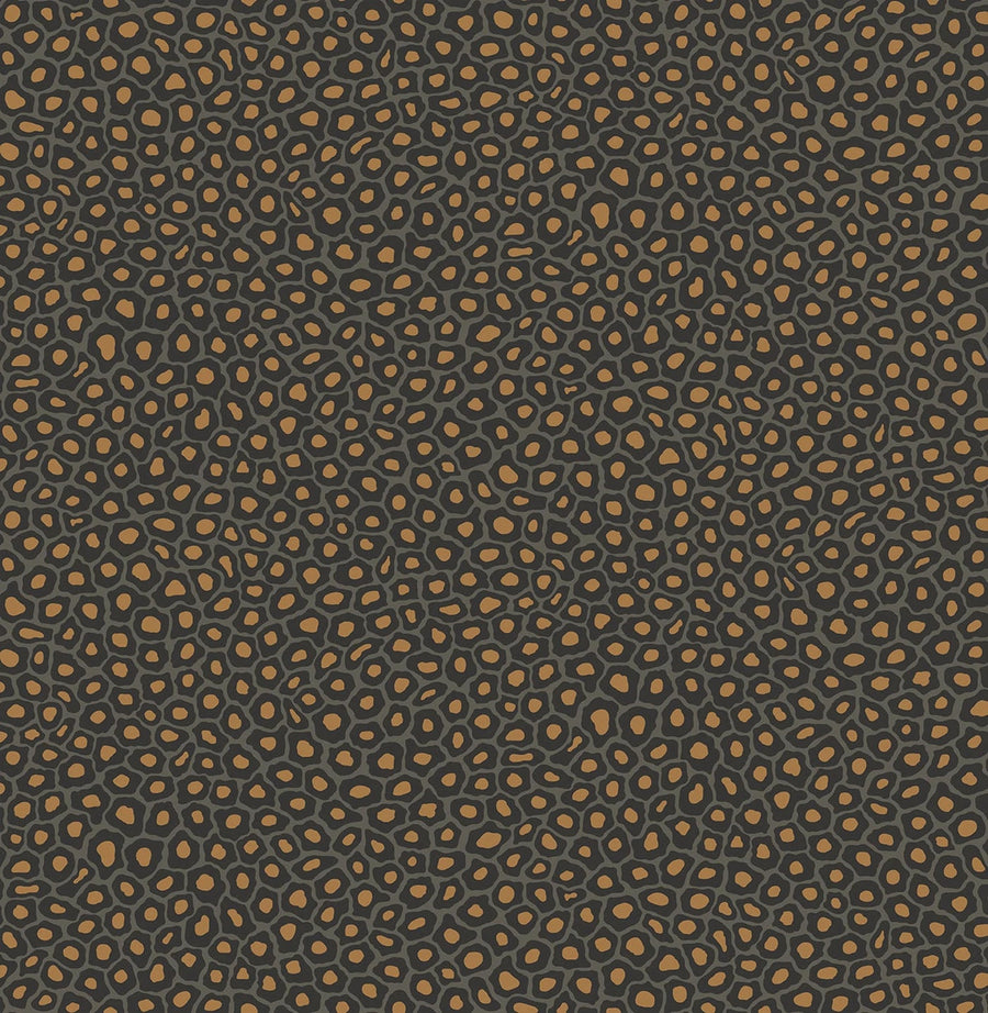 Senzo Spot Wallpaper by Cole & Son - 109/6032 | Modern 2 Interiors