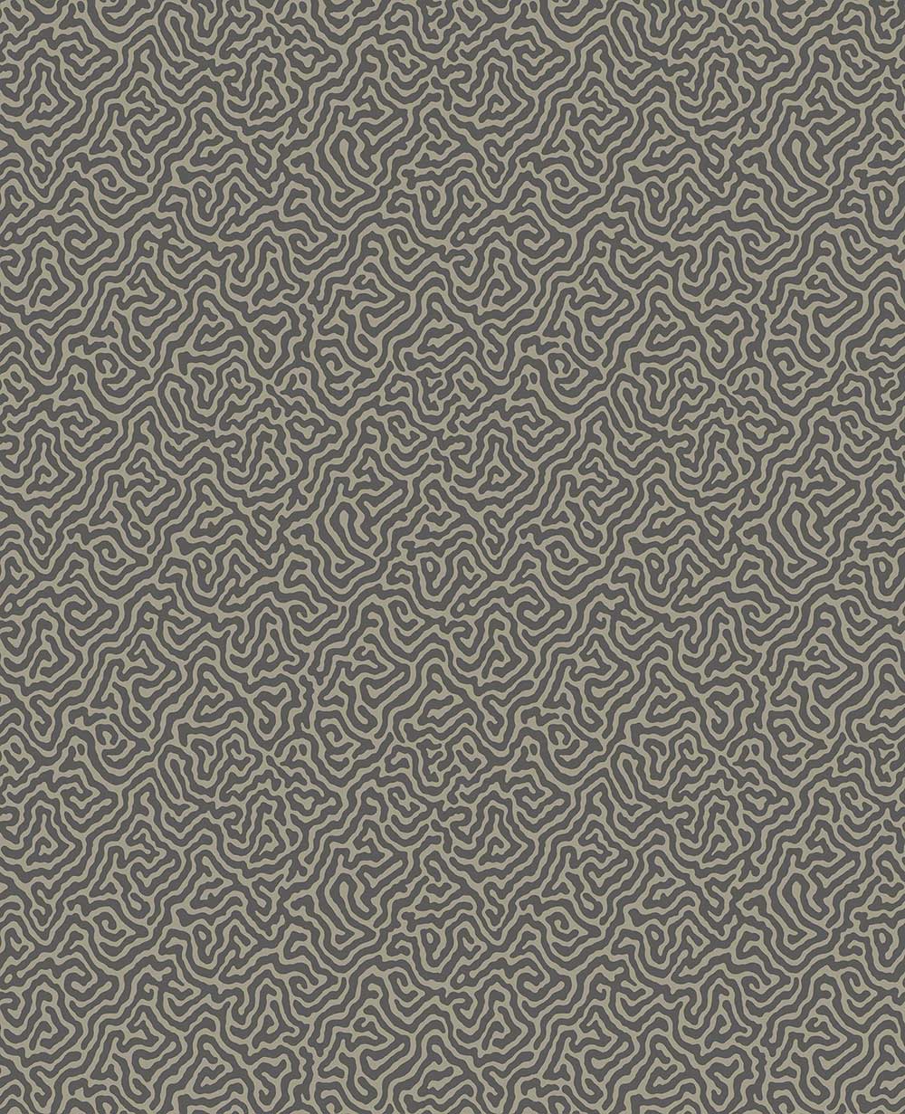 Vermicelli Wallpaper by Cole & Son - 107/4017 | Modern 2 Interiors