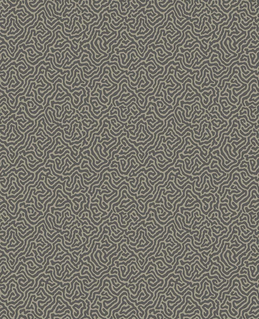 Vermicelli Wallpaper by Cole & Son - 107/4017 | Modern 2 Interiors