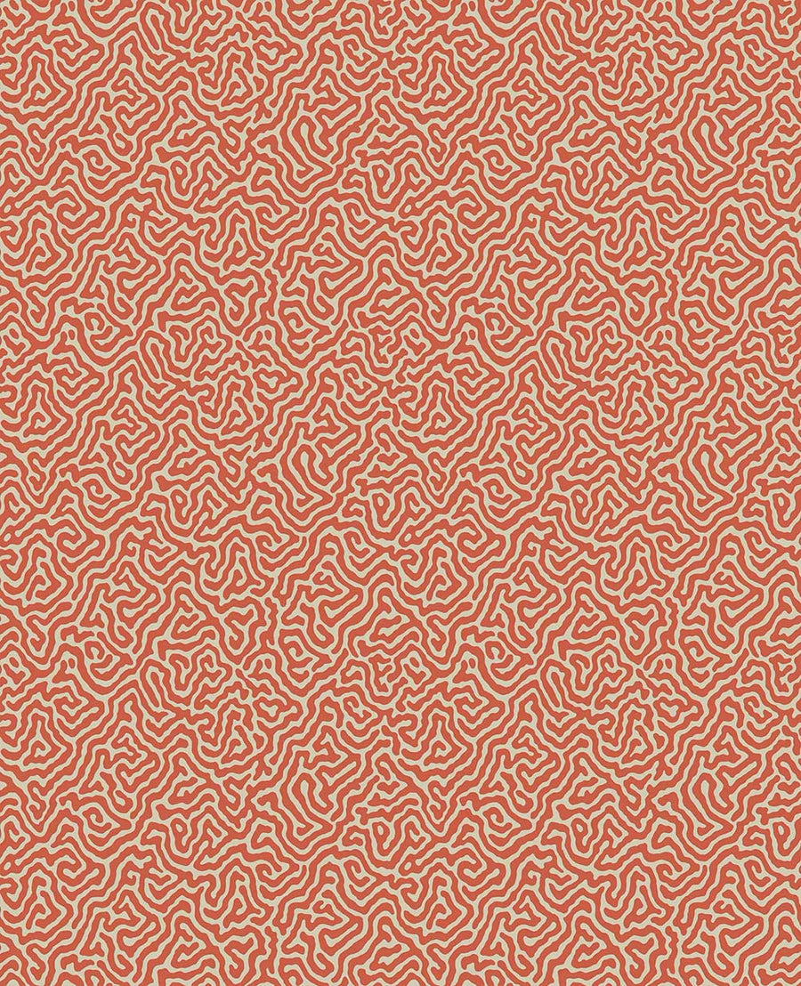 Vermicelli Wallpaper by Cole & Son - 107/4018 | Modern 2 Interiors