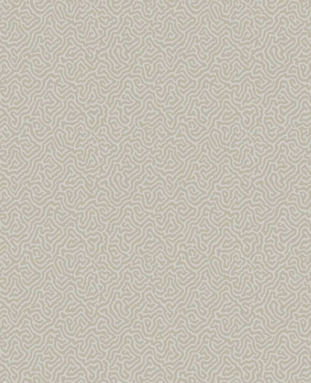 Vermicelli Wallpaper by Cole & Son - 107/4019 | Modern 2 Interiors