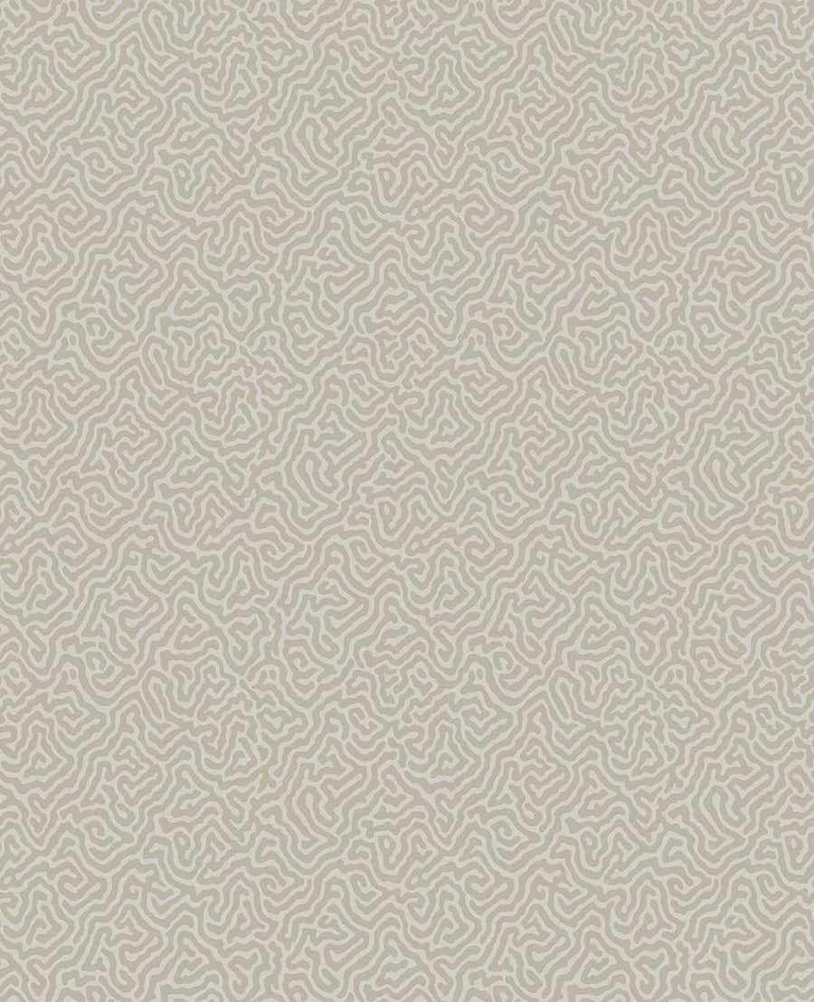 Vermicelli Wallpaper by Cole & Son - 107/4019 | Modern 2 Interiors