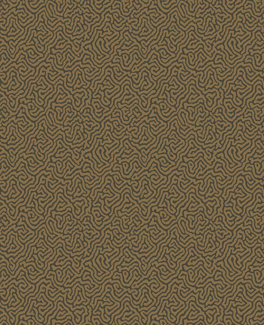 Vermicelli Wallpaper by Cole & Son - 107/4020 | Modern 2 Interiors