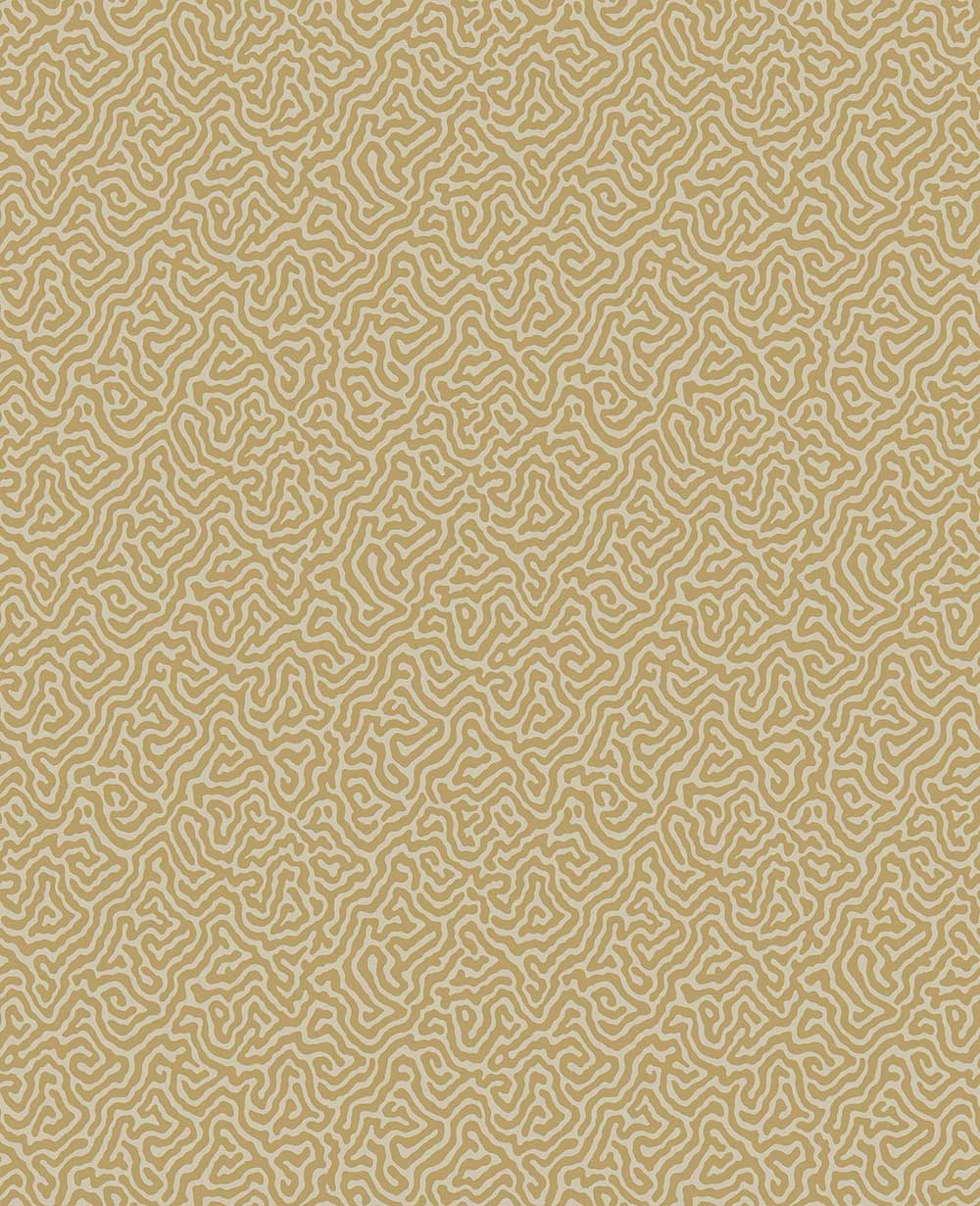 Vermicelli Wallpaper by Cole & Son - 107/4021 | Modern 2 Interiors