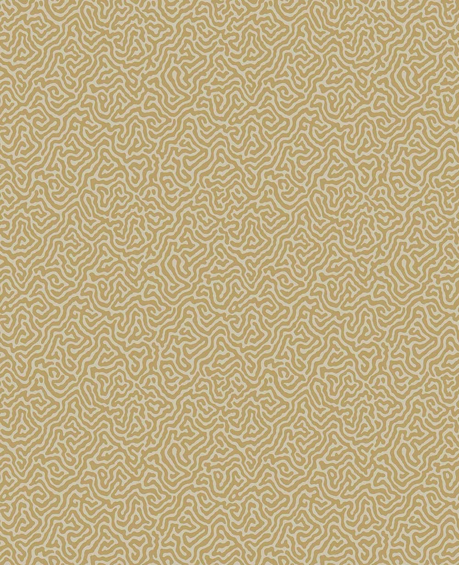 Vermicelli Wallpaper by Cole & Son - 107/4021 | Modern 2 Interiors