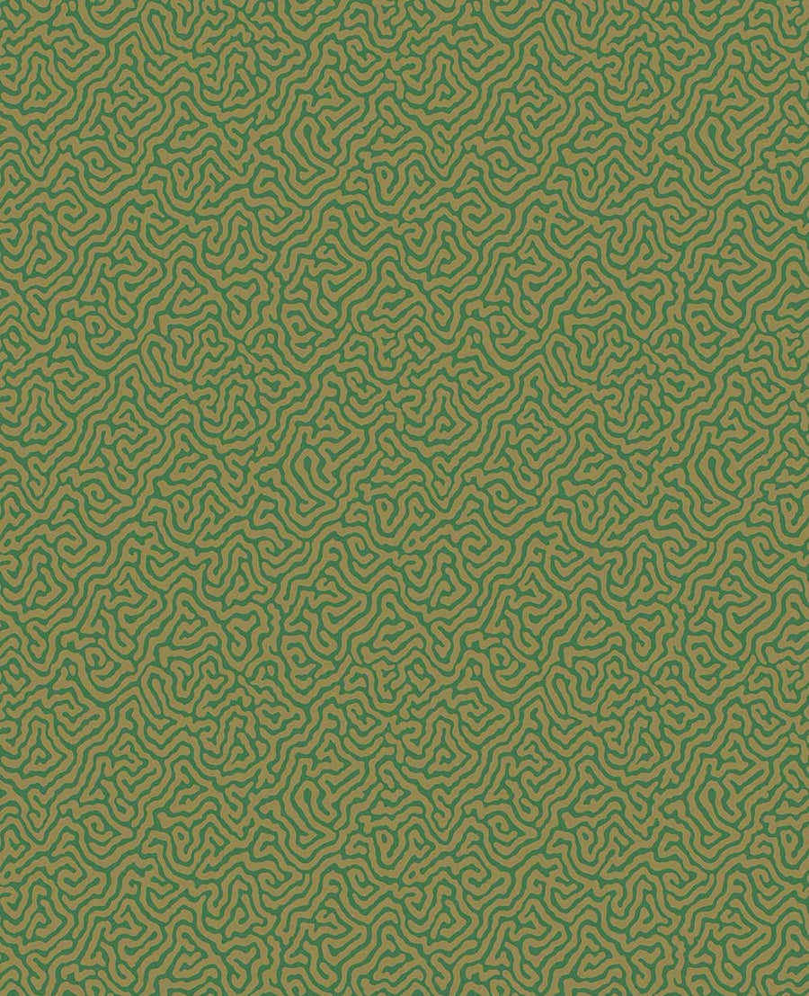 Vermicelli Wallpaper by Cole & Son - 107/4022 | Modern 2 Interiors