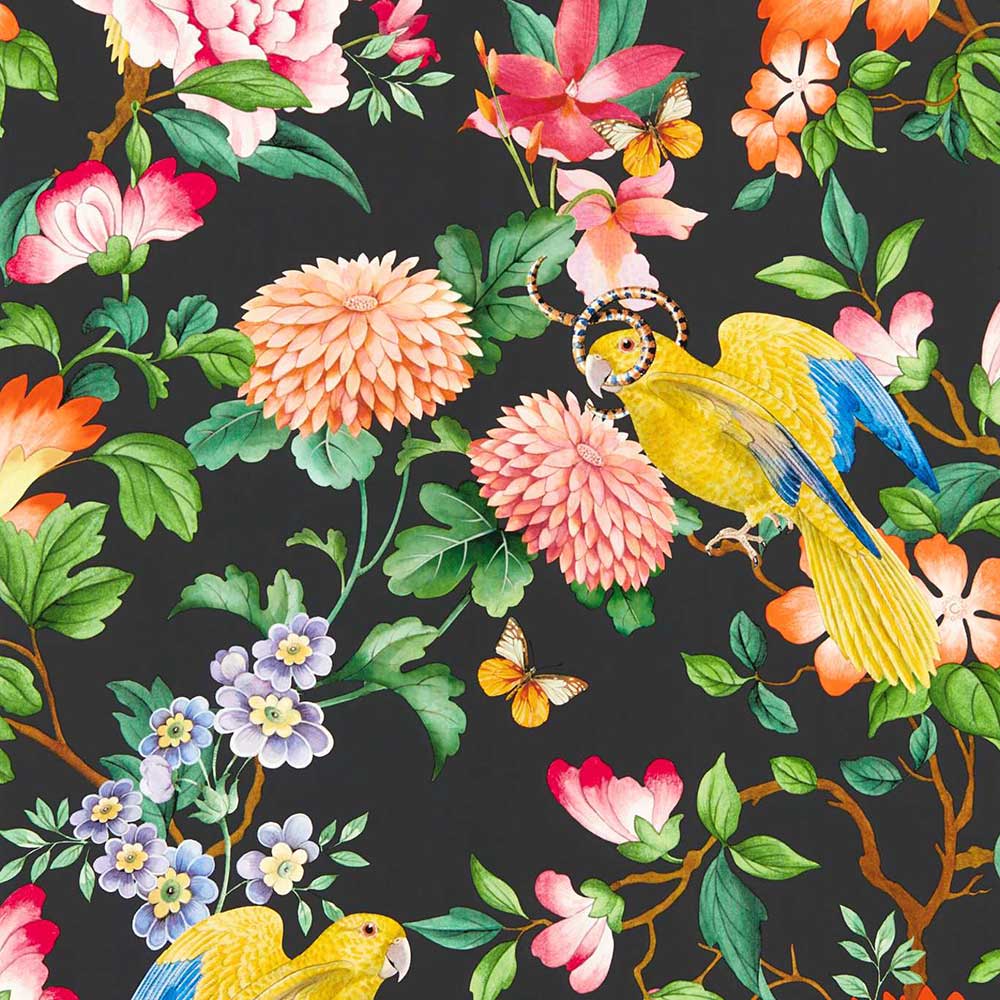 Golden Parrot Noir Wallpaper by Clarke & Clarke - W0130/04 | Modern 2 Interiors