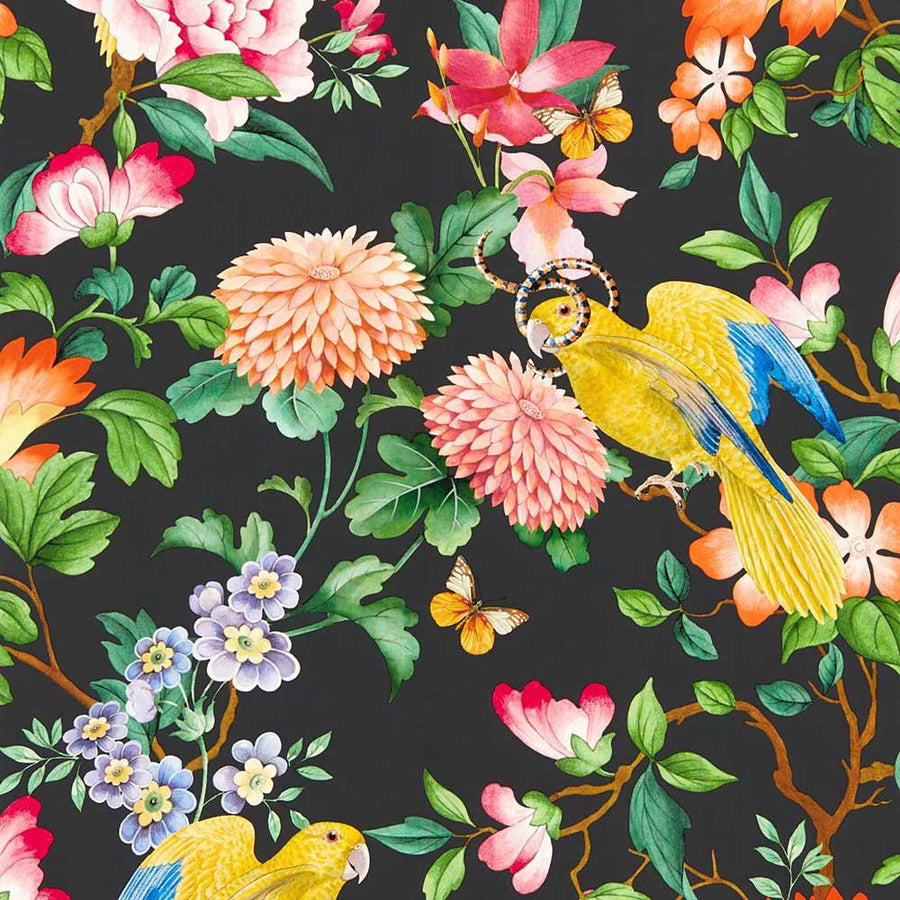 Golden Parrot Noir Wallpaper by Clarke & Clarke - W0130/04 | Modern 2 Interiors