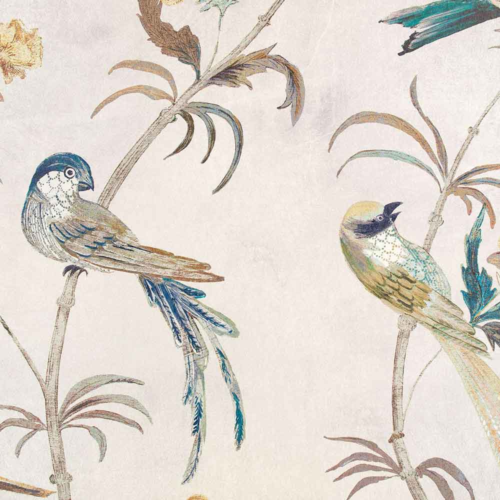 Romo Pluma Gris Wallpaper | W444/01