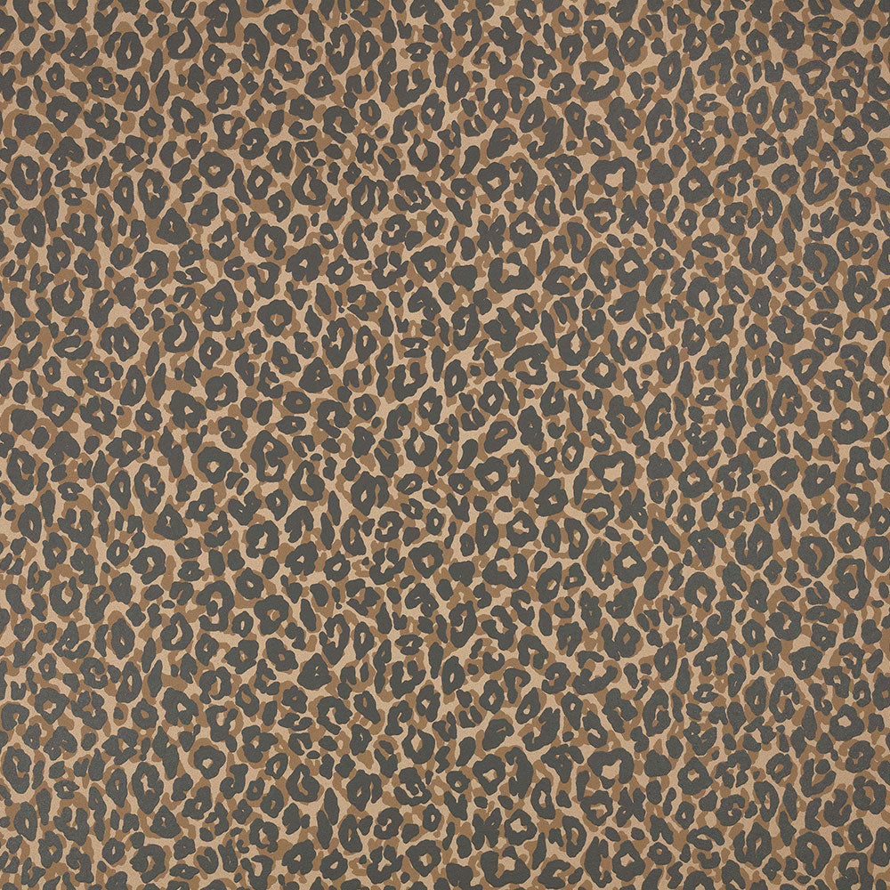 Romo Kitty Wallpaper | Tan | W453/08