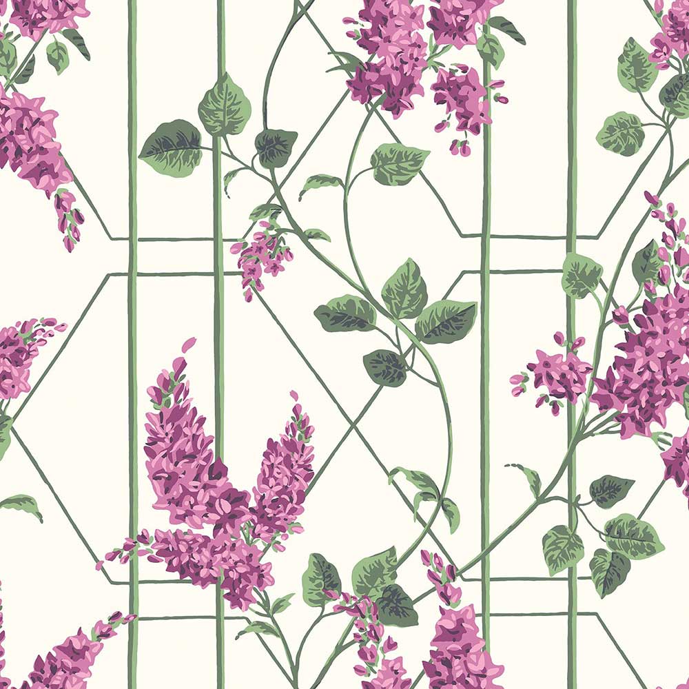 Wisteria Wallpaper by Cole & Son - 115/5013 | Modern 2 Interiors