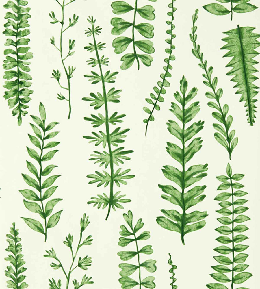 Ferns Juniper Wallpaper by SCION - NART112798 | Modern 2 Interiors