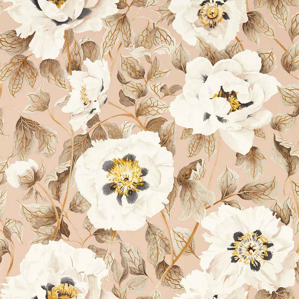 Florent Positano & Maple Wallpaper