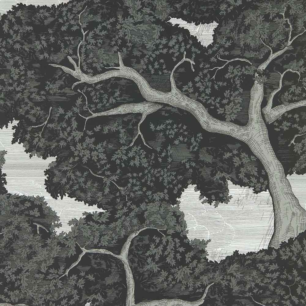 Eternal oak Ebony & First Light Wallpaper