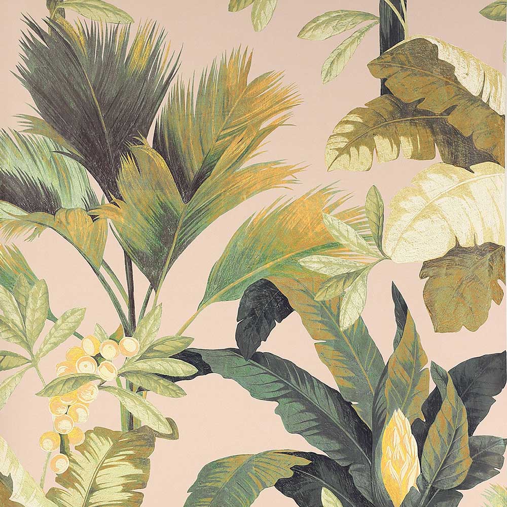 Salengro Peche Wallpaper