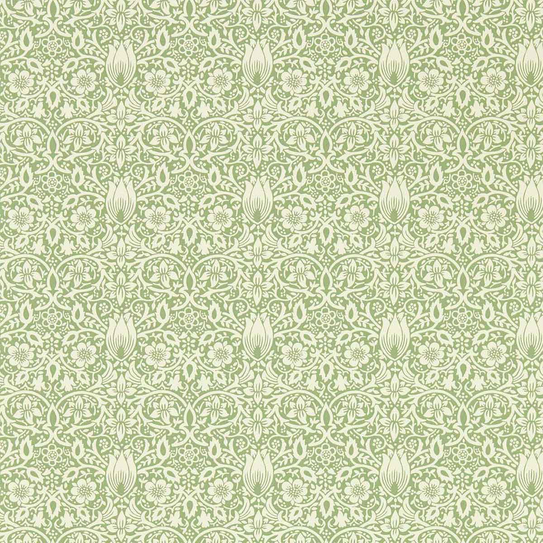 Borage Leafy Arbour Wallpaper
