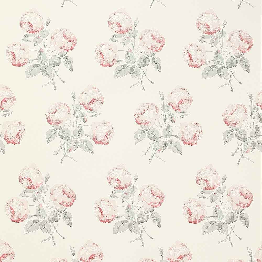 Bowood Pink & Grey Wallpaper