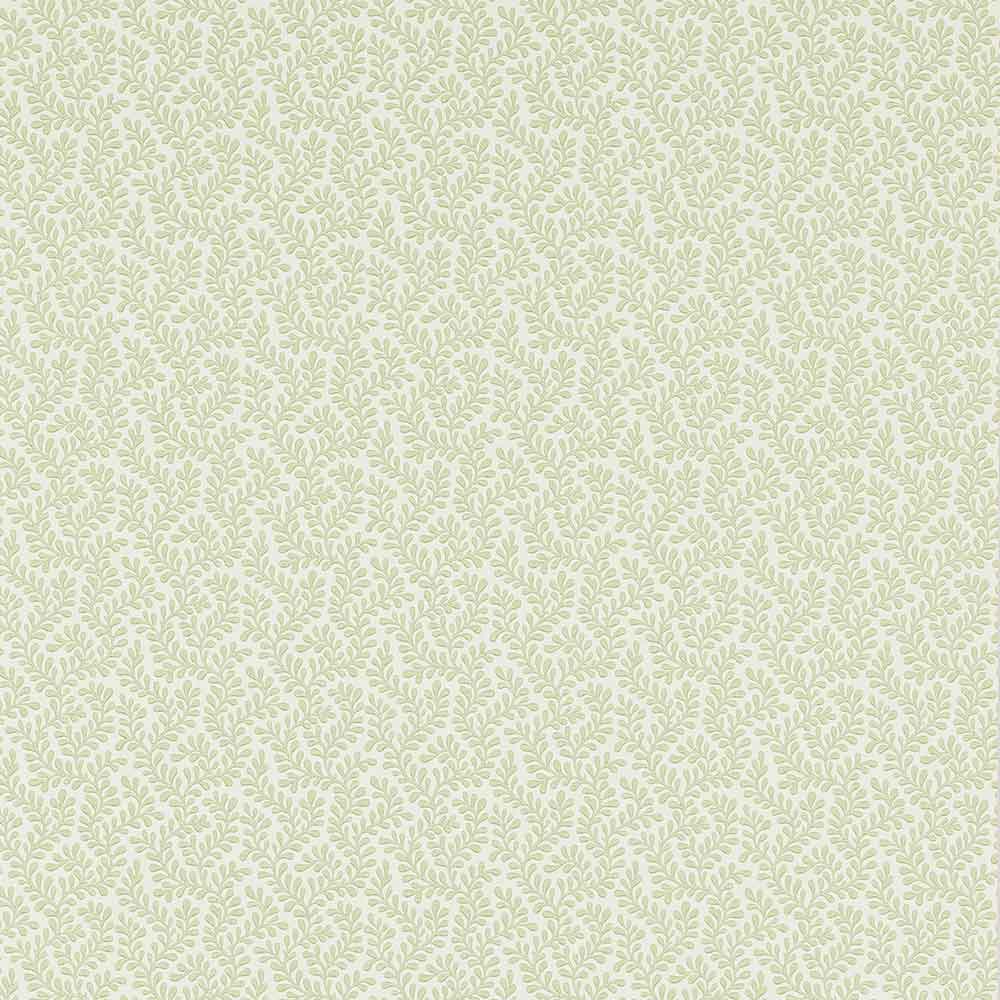 Rushmere Willow Green Wallpaper