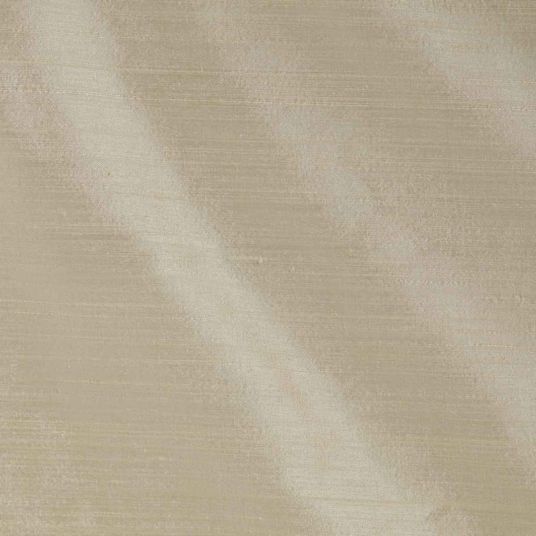 Orissa Silk Mica Fabric