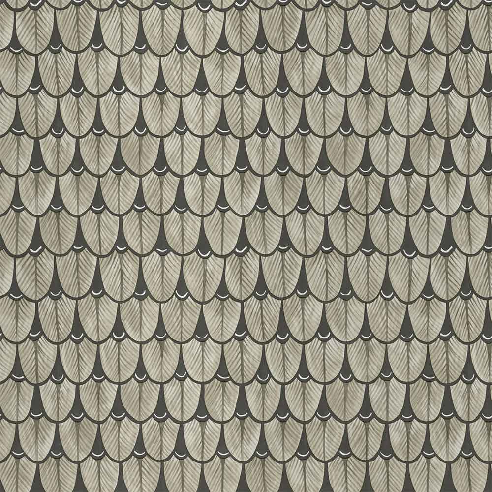 Narina Baobab Platinum Wallpaper