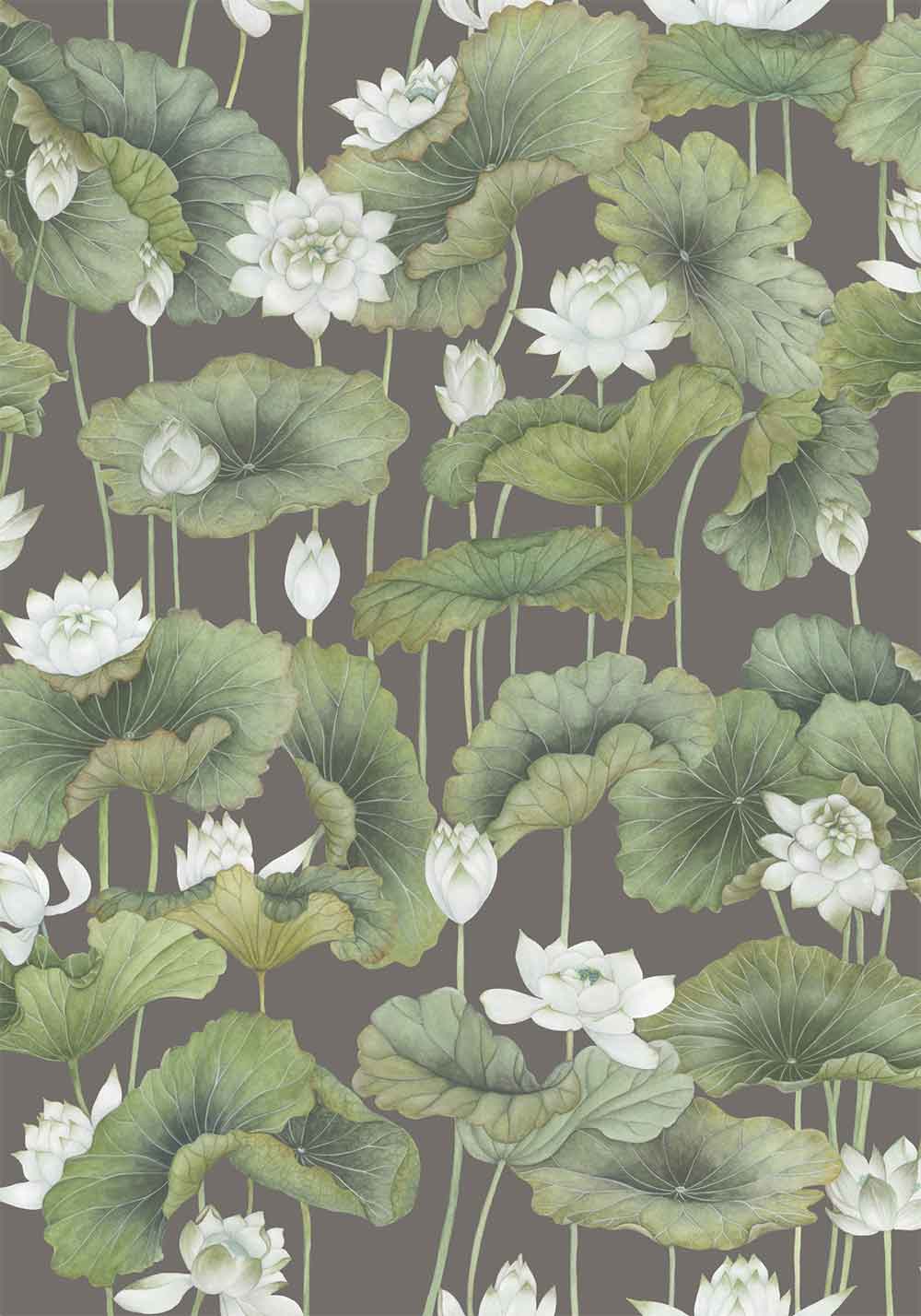 Lily Lotus White on Charcoal Wallpaper