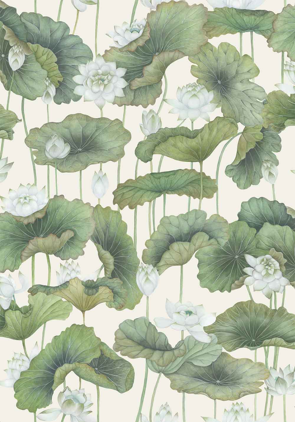 Lily Lotus White on Cream Wallpaper