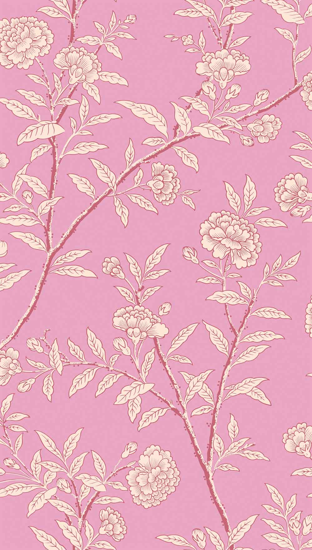 Roseberry Fuchsia Wallpaper