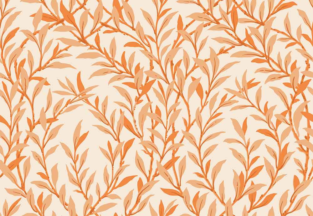 Willow Branch Tangerine on Cream Wallpaper