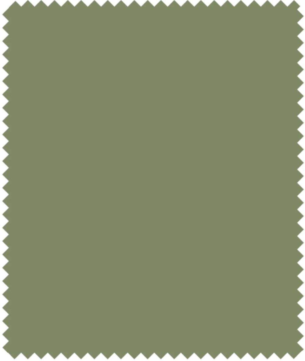 Cole & Son Colour Box Velvet Fabric | Olive Green | F111/11042