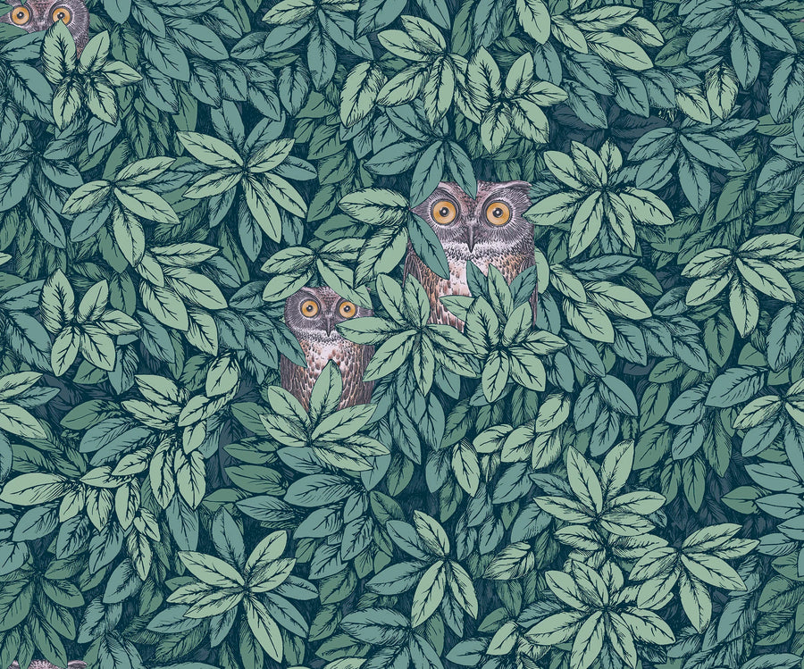 Cole & Son Foglie e Civette Wallpaper | Viridian | 123/11051
