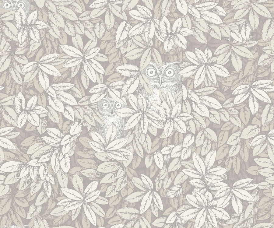 Cole & Son Foglie e Civette Wallpaper | White | 123/11052