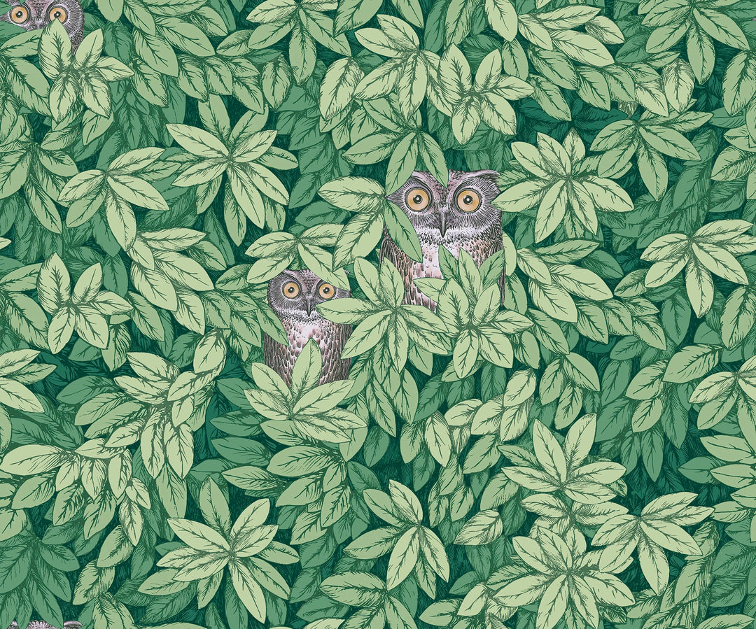 Cole & Son Foglie e Civette Wallpaper | Forest Green | 123/11054