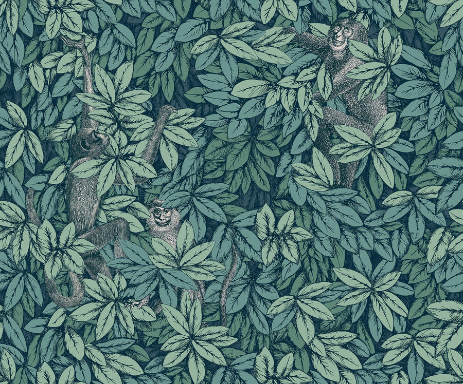 Cole & Son Foglie e Scimmie Wallpaper | Viridian | 123/10046