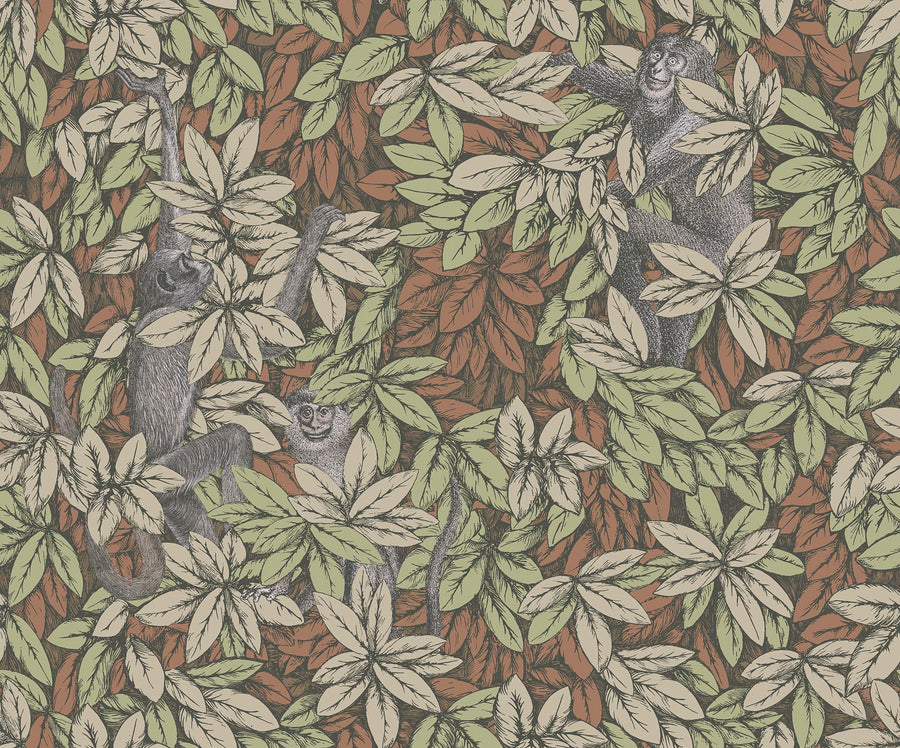 Cole & Son Foglie e Scimmie Wallpaper | Olive & Orange | 123/10047