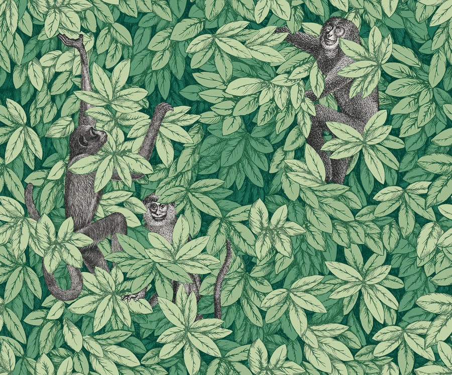 Cole & Son Foglie e Scimmie Wallpaper | Forest Green | 123/10049