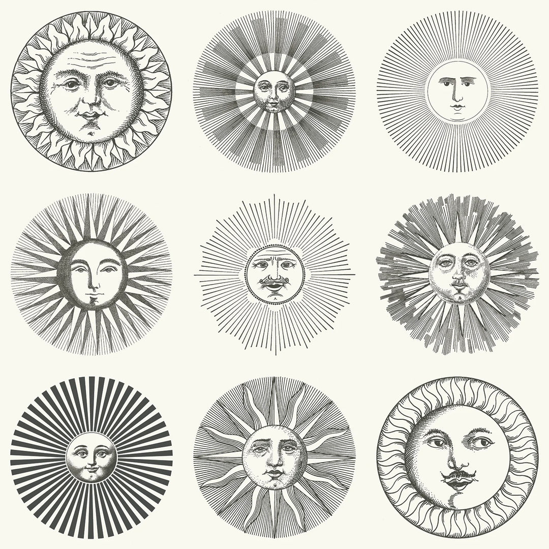 Cole & Son Soli Wallpaper | Black & White | 123/1001