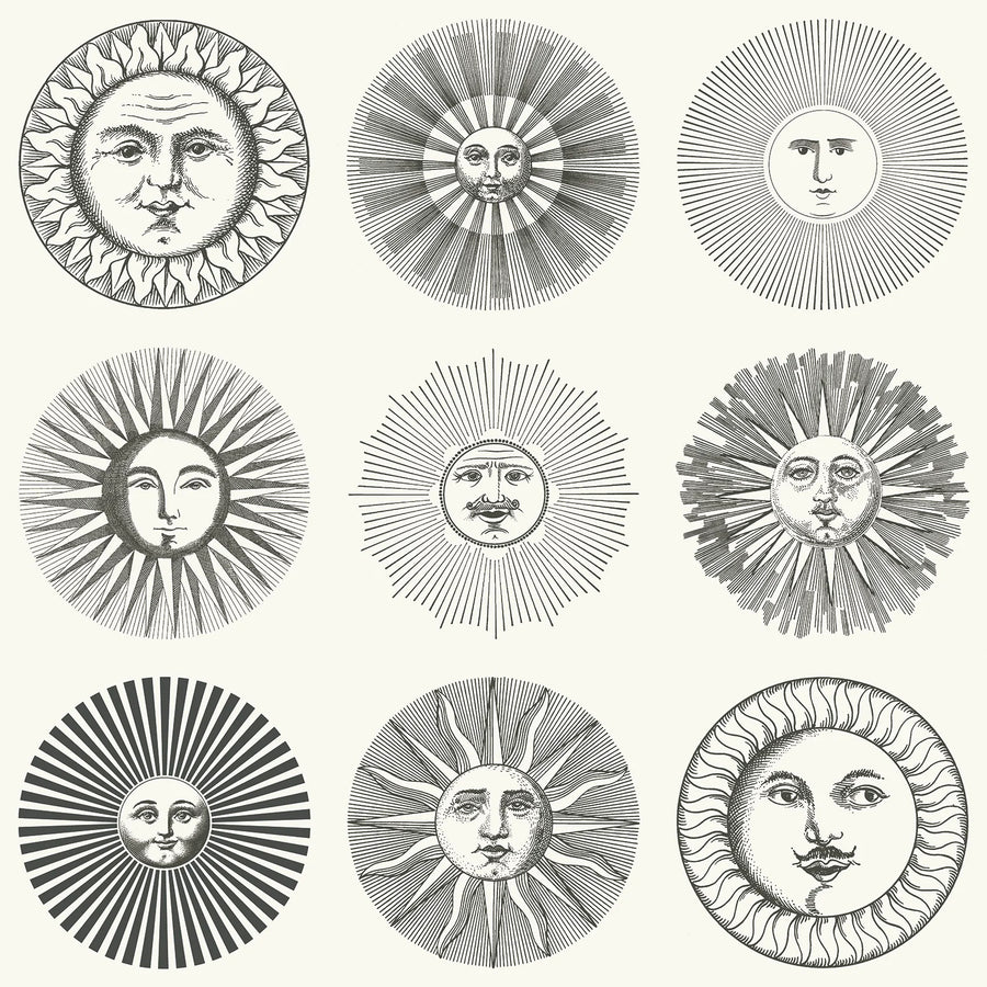 Cole & Son Soli Wallpaper | Black & White | 123/1001