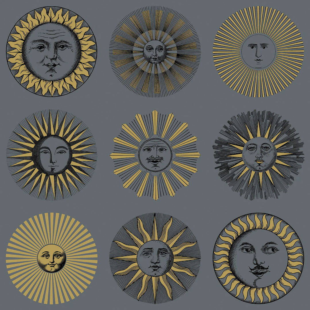 Cole & Son Soli Wallpaper | Midnight & Soft Gold | 123/1004
